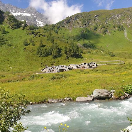 Gaestehaus Zedlacherhof Matrei in Osttirol Dış mekan fotoğraf