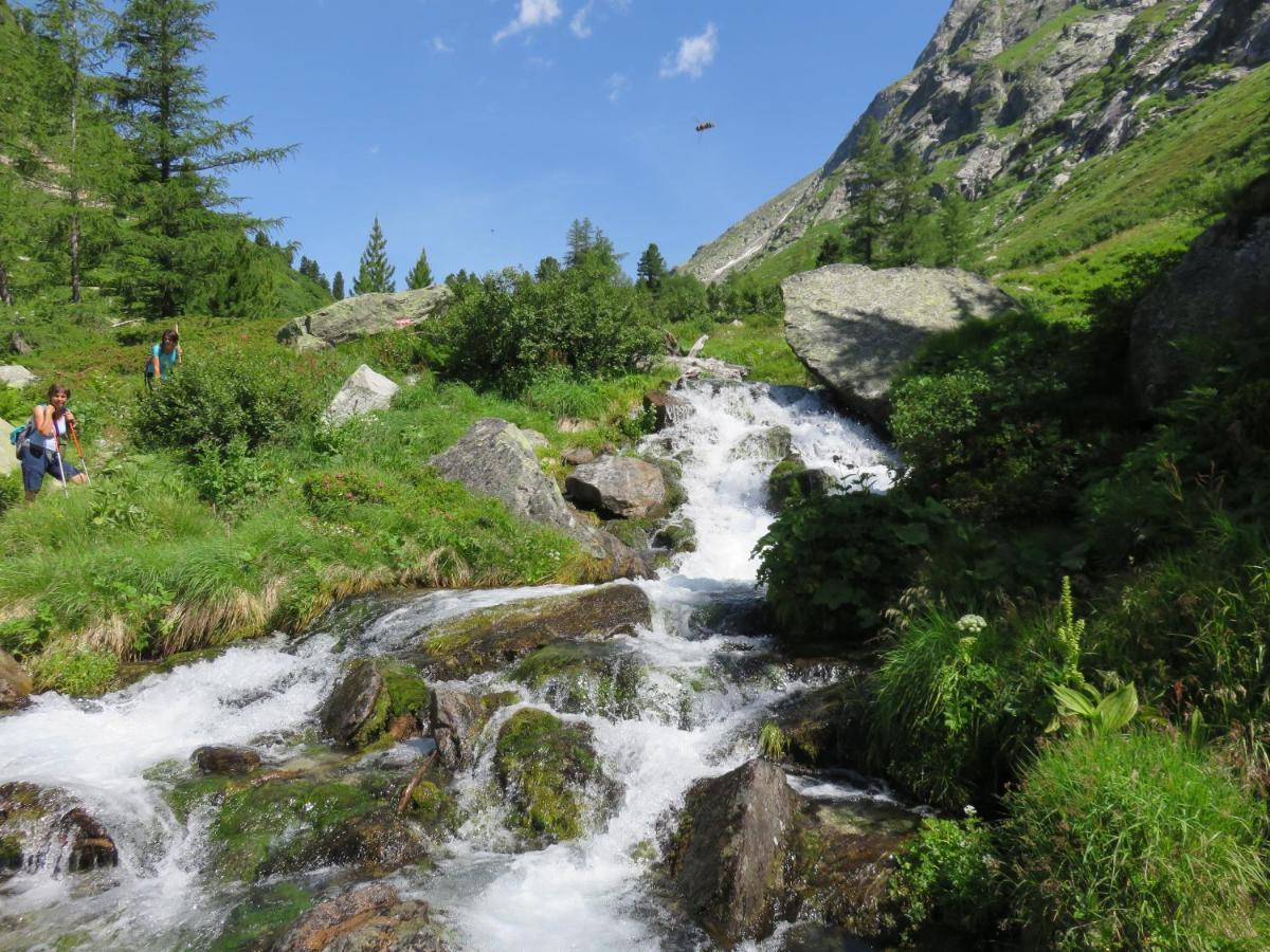 Gaestehaus Zedlacherhof Matrei in Osttirol Dış mekan fotoğraf