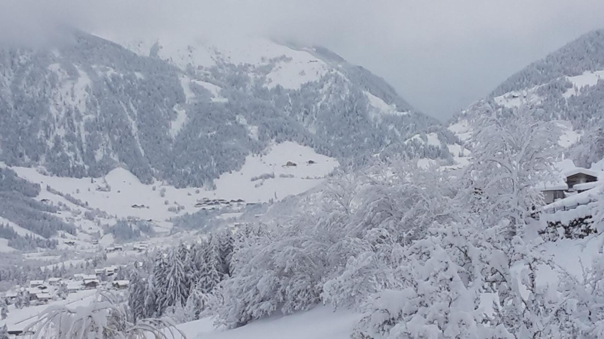 Gaestehaus Zedlacherhof Matrei in Osttirol Dış mekan fotoğraf
