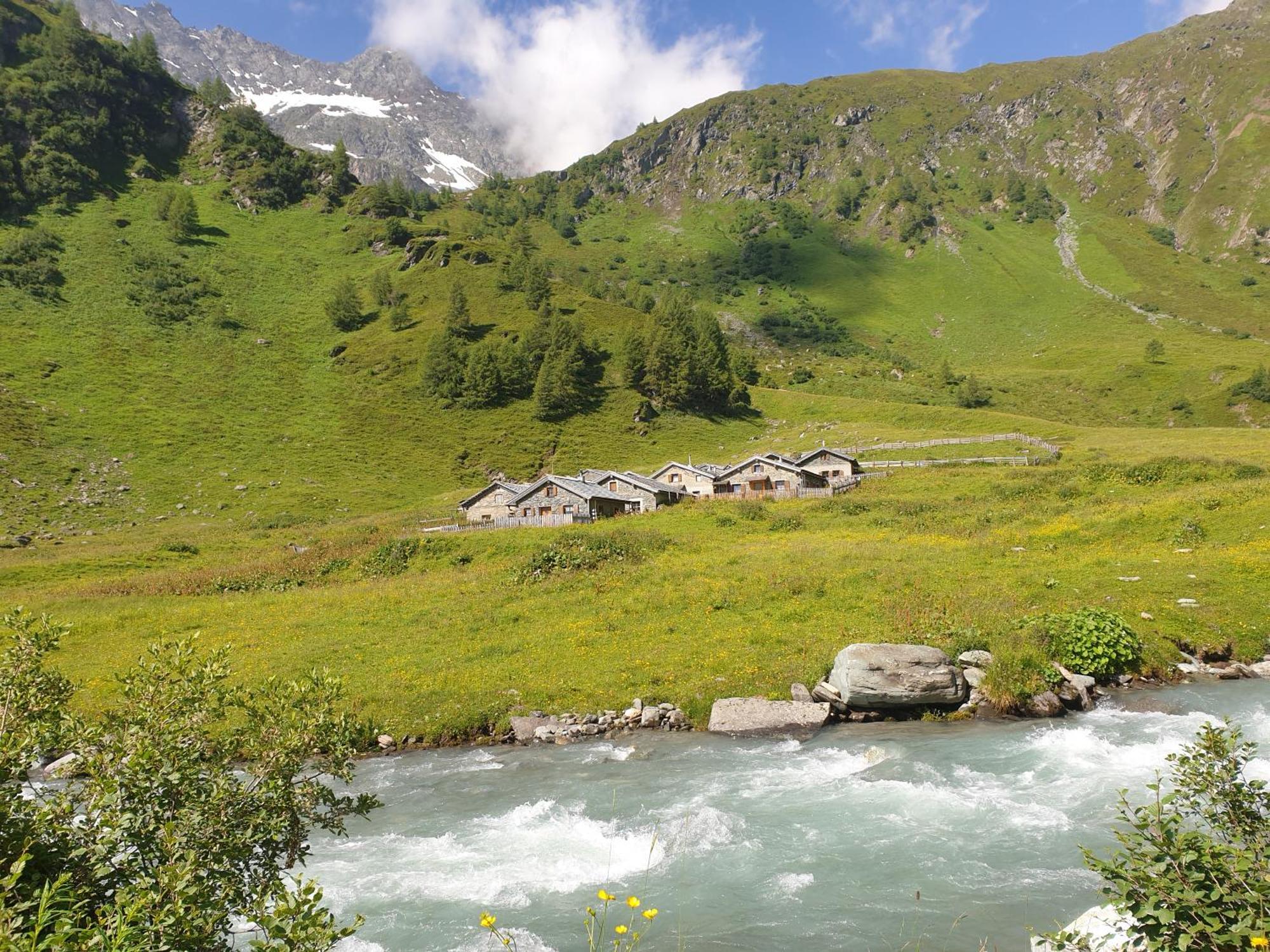 Gaestehaus Zedlacherhof Matrei in Osttirol Dış mekan fotoğraf