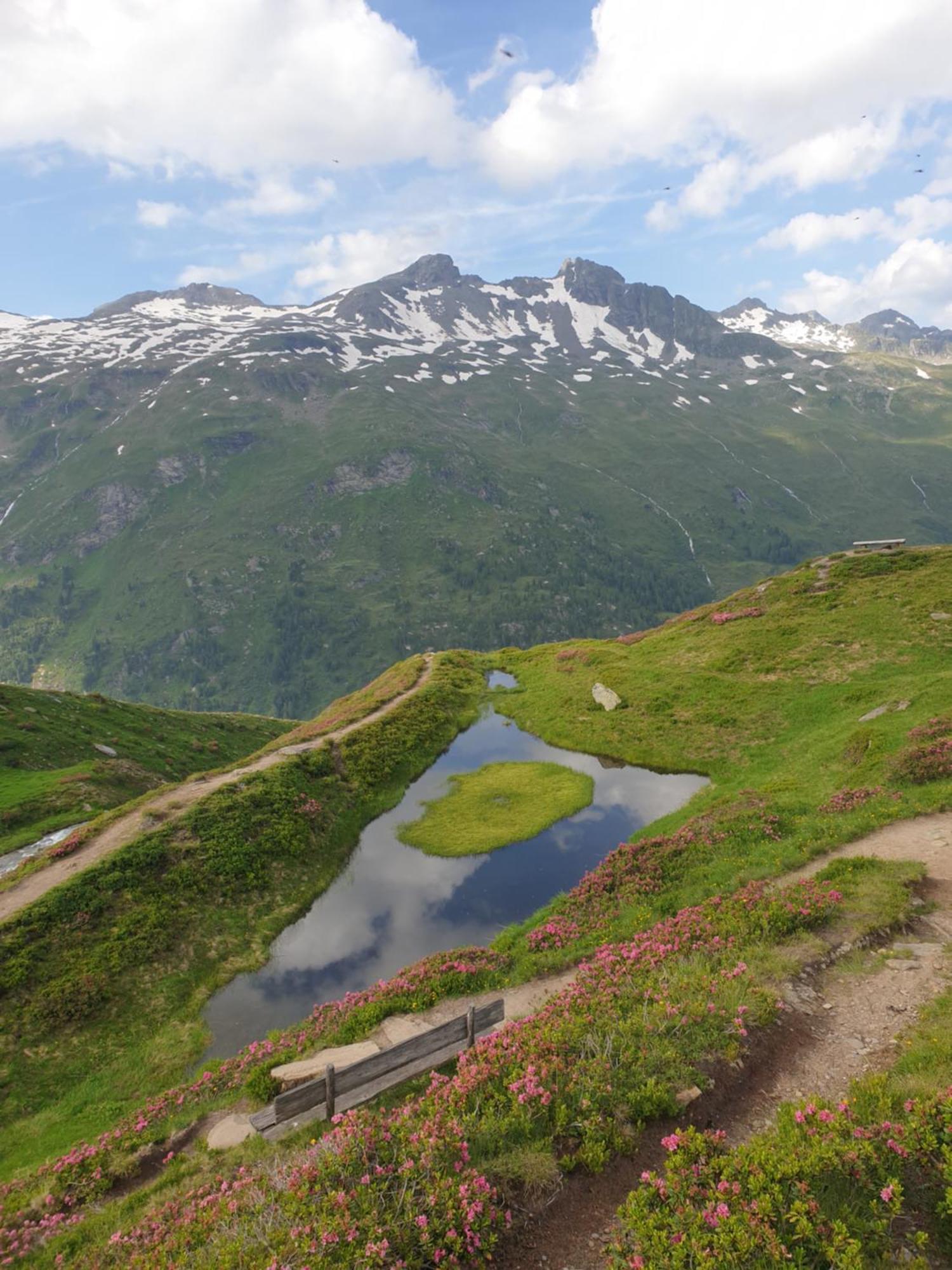 Gaestehaus Zedlacherhof Matrei in Osttirol Dış mekan fotoğraf
