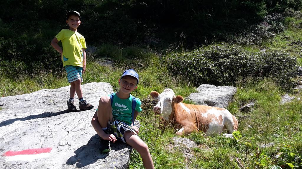 Gaestehaus Zedlacherhof Matrei in Osttirol Dış mekan fotoğraf