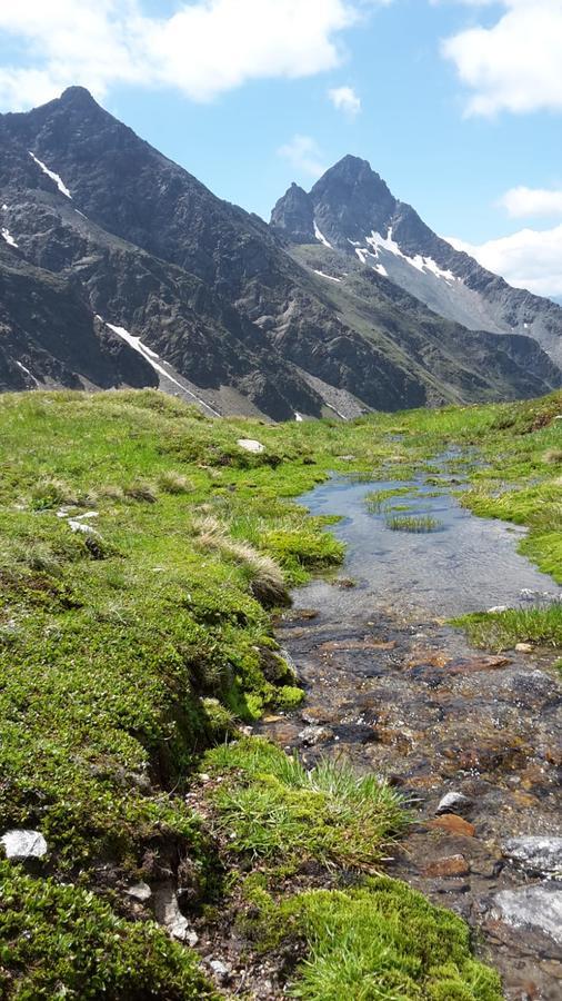 Gaestehaus Zedlacherhof Matrei in Osttirol Dış mekan fotoğraf