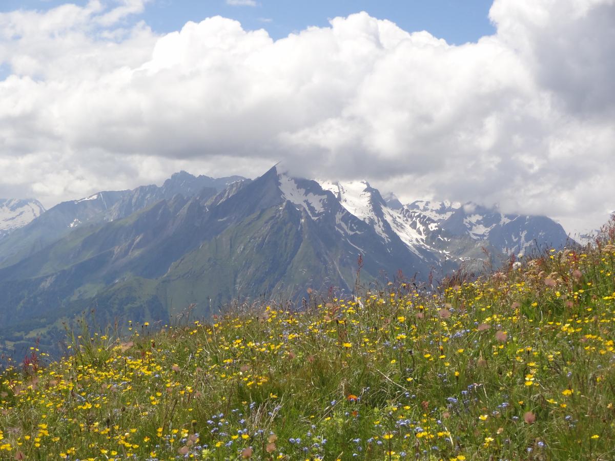 Gaestehaus Zedlacherhof Matrei in Osttirol Dış mekan fotoğraf